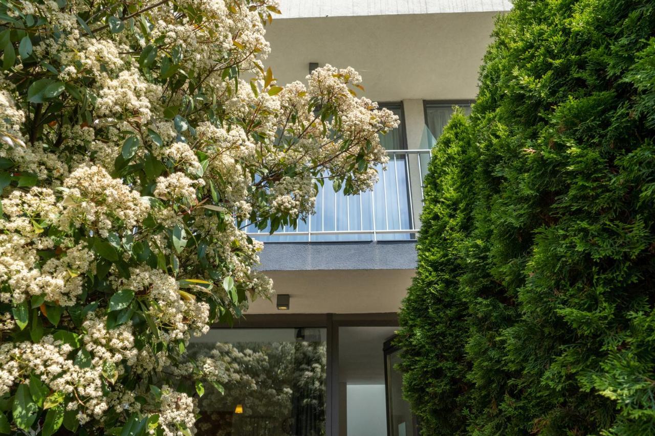 Apartamente AIFEN Eforie Nord Exterior foto