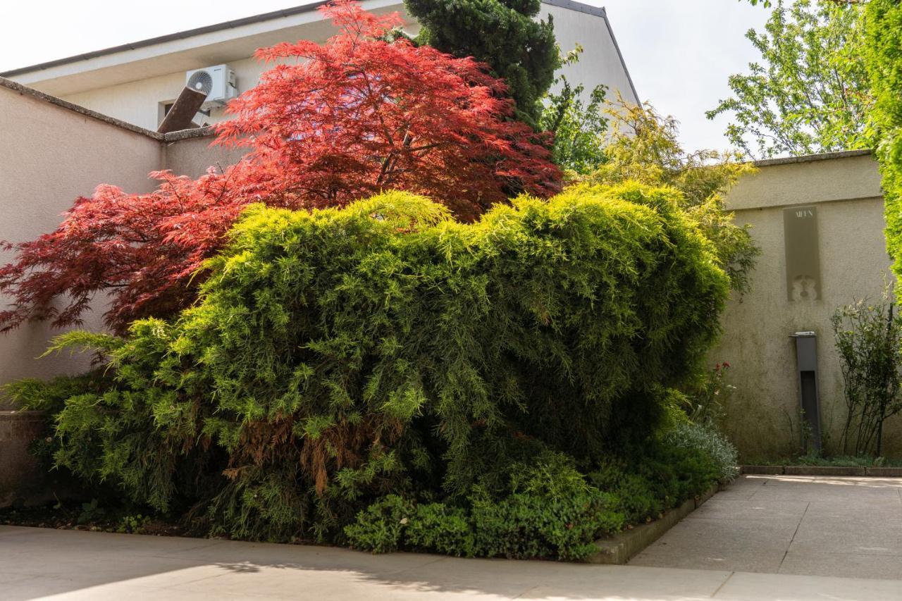 Apartamente AIFEN Eforie Nord Exterior foto
